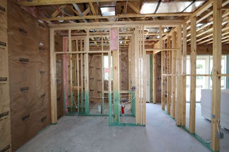 New construction Single-Family house 31810 Sapna Chime Drive, Wesley Chapel, FL 33545 Mira Lago- photo 58 58