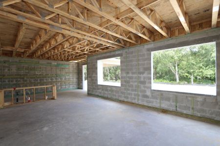 New construction Single-Family house 9611 Crescent Ray Drive, Wesley Chapel, FL 33545 Dali- photo 22 22