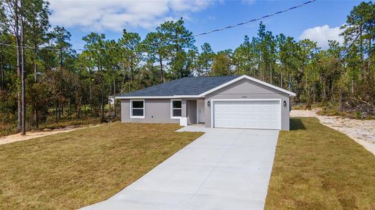 New construction Single-Family house 24053 Nw Tamarind Lane, Dunnellon, FL 34431 - photo 51 51