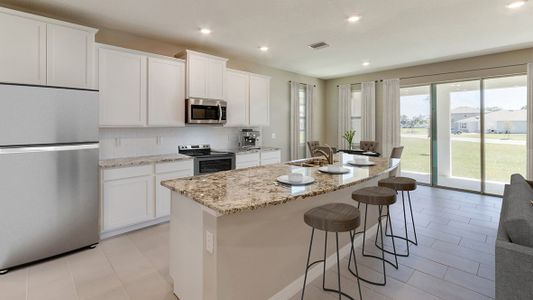 New construction Single-Family house 11083 Laxer Cay Loop, San Antonio, FL 33576 - photo 5 5
