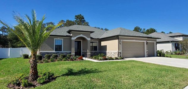 New construction Single-Family house Carlingford, Spring Hill, Brooksville, FL 34613 - photo
