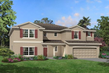 New construction Single-Family house 7719 Notched Pine Bend, Wesley Chapel, FL 33545 Palazzo- photo 0