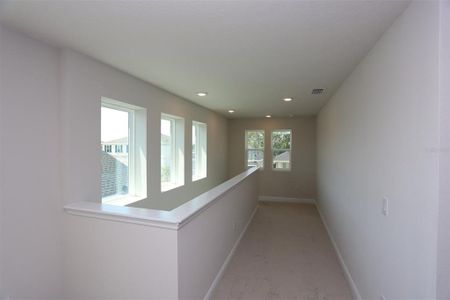 New construction Single-Family house 5932 Golden Nettle Drive, Apollo Beach, FL 33572 - photo 22 22