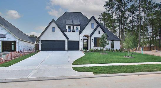 New construction Single-Family house 12739 Creekside Shadow Lane, Conroe, TX 77302 - photo 14 14