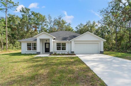 New construction Single-Family house 13366 Canada Goose Road, Weeki Wachee, FL 34614 - photo 0