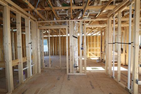 New construction Single-Family house 5254 Currant Street, Lakeland, FL 33811 Marina- photo 37 37