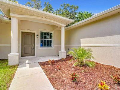 New construction Single-Family house 509 Mulberry Street, Fruitland Park, FL 34731 - photo