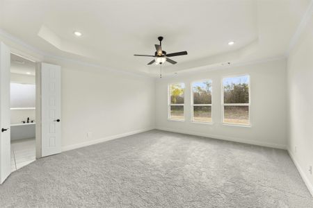 New construction Single-Family house 4005 Box Elder Drive, Royse City, TX 75189 Brady- photo 17 17