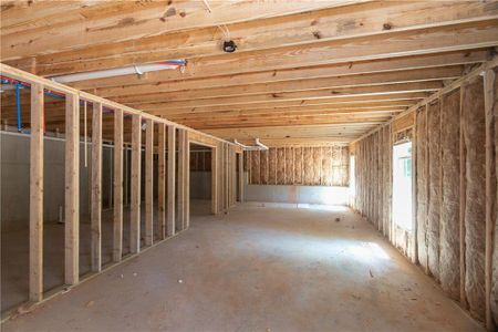 New construction Single-Family house 2470 Cross Plains Hueltt Road, Carrollton, GA 30116 - photo 28 28