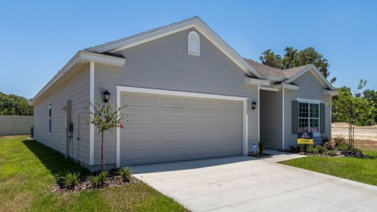 New construction Single-Family house Cali, 1617 Northwest 248th Way, Newberry, FL 32669 - photo