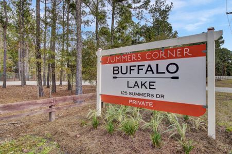 New construction Single-Family house 1025 Fitzgerald Court, Summerville, SC 29485 - photo 74 74