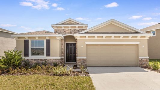 New construction Single-Family house 10422 Charlotte Drive, Parrish, FL 34219 - photo 3 3