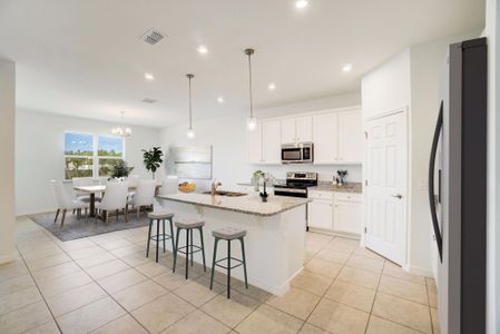 New construction Single-Family house 13000 Trovita Drive, Grand Island, FL 32735 - photo 4 4
