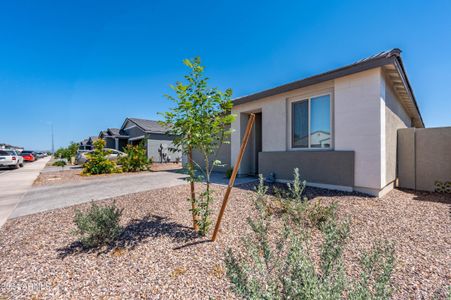 New construction Single-Family house 11231 E Unger Avenue, Mesa, AZ 85212 - photo 41 41