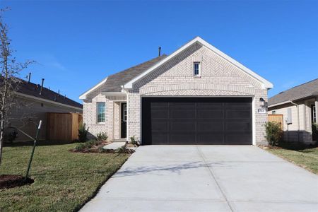 New construction Single-Family house 17524 Grand Fir Lane, New Caney, TX 77357 Boxwood- photo
