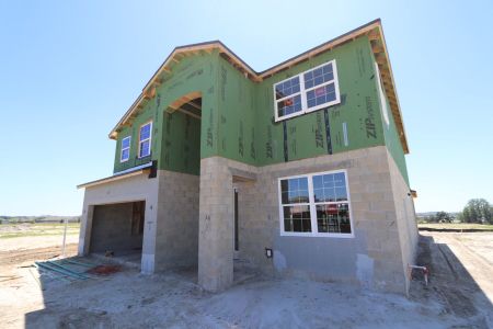 New construction Single-Family house 31810 Sapna Chime Drive, Wesley Chapel, FL 33545 Mira Lago- photo 38 38