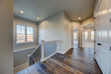 New construction Single-Family house 8412 Cromwell Circle, Windsor, CO 80528 - photo 81 81