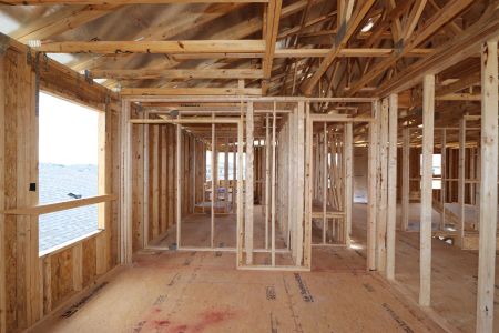 New construction Single-Family house 32556 Sapna Chime Drive, Wesley Chapel, FL 33545 Dali- photo 17 17