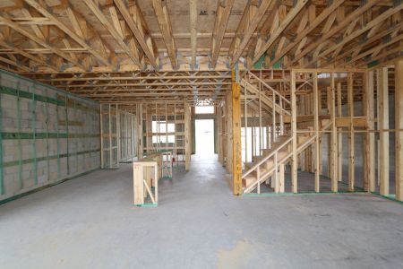 New construction Single-Family house 31810 Sapna Chime Drive, Wesley Chapel, FL 33545 Mira Lago- photo 12 12