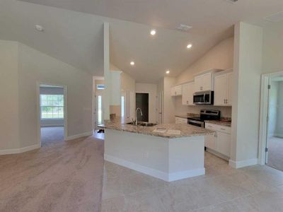 New construction Single-Family house 10939 Sw 41St Avenue, Ocala, FL 34476 - photo 3 3