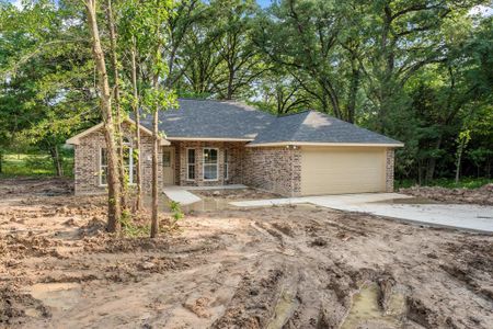 New construction Single-Family house 188 Armada Loop, Payne Springs, TX 75156 - photo 0