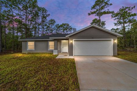 New construction Single-Family house 452 Sw Sycamore Road, Dunnellon, FL 34431 - photo 3 3