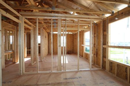 New construction Single-Family house 5238 Currant Street, Lakeland, FL 33811 Marina- photo 28 28