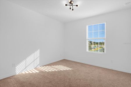 New construction Single-Family house 9399 Halsey Drive, Groveland, FL 34736 - photo 21 21