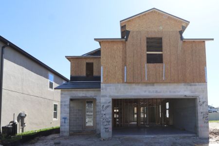 New construction Single-Family house 2463 Sunny Pebble Loop, Zephyrhills, FL 33540 Castellana- photo 35 35