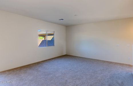New construction Single-Family house 5007 S 251St Drive, Buckeye, AZ 85326 Sunflower- photo 15 15