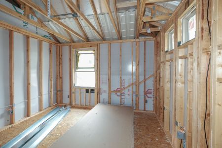 New construction Single-Family house 125 Calgary Drive, Floresville, TX 78114 Livingston- photo 21 21