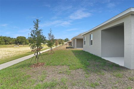 New construction Single-Family house 1012 Green Tree Court, Haines City, FL 33844 Balsam- photo 14 14