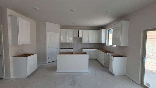New construction Single-Family house 113 Pinyon Pine Pass, Hutto, TX 78634 Wyatt Homeplan- photo 3 3