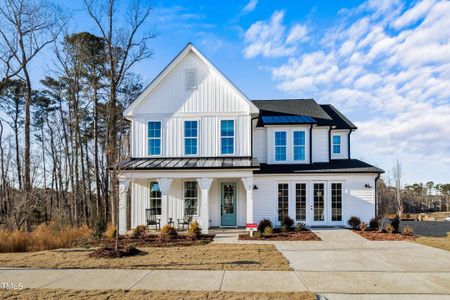 New construction Single-Family house 9113 Dupree Meadow Drive, Angier, NC 27501 - photo 0 0