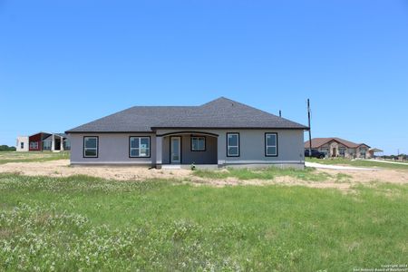 New construction Single-Family house 144 Summer Meadow Dr, La Vernia, TX 78121 - photo 3 3