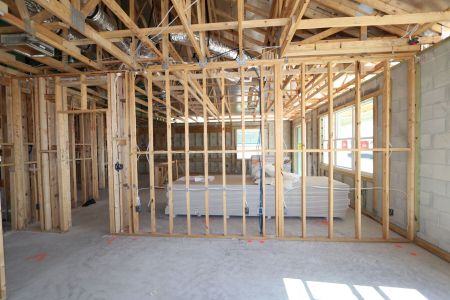 New construction Single-Family house 2486 Clary Sage Drive, Spring Hill, FL 34609 Santa Monica- photo 92 92
