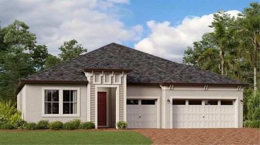New construction Single-Family house 12492 Bergstrom Bay Drive, Riverview, FL 33579 Blackburn- photo 0
