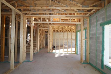 New construction Single-Family house 12114 Hilltop Farms Drive, Dade City, FL 33525 Alenza- photo 36 36