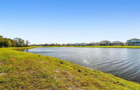 New construction Single-Family house 12673 Hayes Clan Rd, Riverview, FL 33579 Easley- photo 25 25