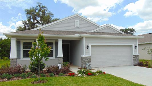 New construction Single-Family house 7802 Penrose Place, Wildwood, FL 34785 - photo 31 31