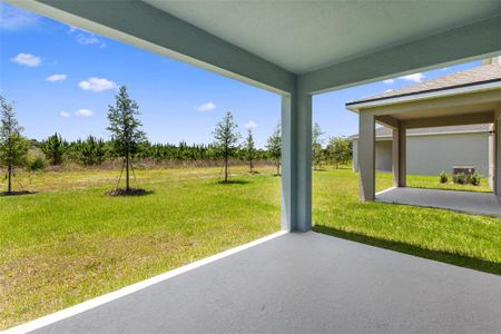 New construction Single-Family house 1706 Carnelian Street, Deland, FL 32720 Greenway- photo 8 8