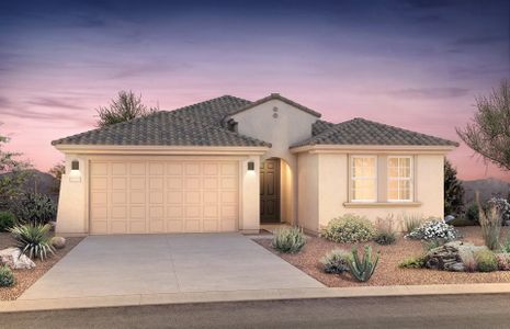 New construction Single-Family house 1430 W Flintlock Dr, San Tan Valley, AZ 85144 Cantania- photo 0