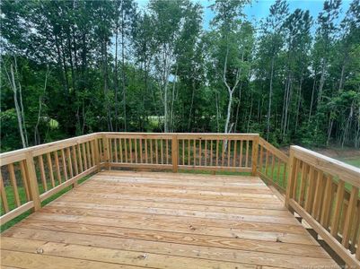 New construction Single-Family house 109 Godwin Court, Sanford, NC 27330 - photo 32 32