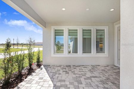 New construction Single-Family house 28793 Sweet Persimmon Drive, Wesley Chapel, FL 33543 - photo 28 28