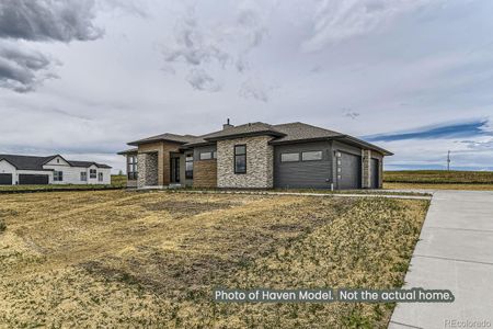 New construction Single-Family house 9719 Canyon Wind Point, Parker, CO 80138 - photo 28 28
