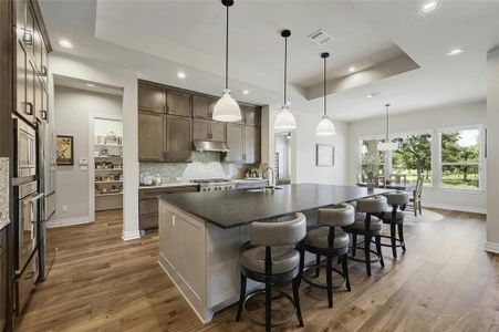 New construction Single-Family house 216 Lipizzan Ln, Driftwood, TX 78619 - photo 9 9