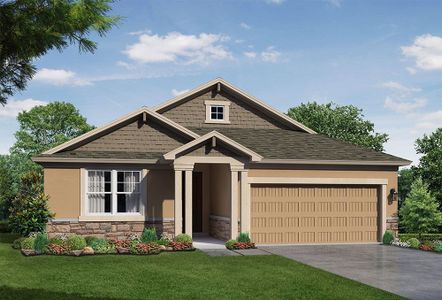 New construction Single-Family house 4920 Emerald Acres Way, Zephyrhills, FL 33541 - photo 5 5