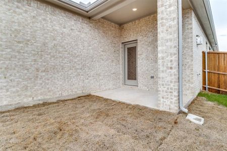 New construction Single-Family house 1213 Lavinola Lane, Anna, TX 75409 - photo 22 22