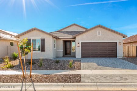 New construction Single-Family house 1179 E Riverton Place, Casa Grande, AZ 85122 - photo 0