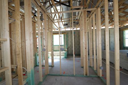 New construction Single-Family house 33224 Amling Pecan Branch, Wesley Chapel, FL 33545 Newport II- photo 31 31